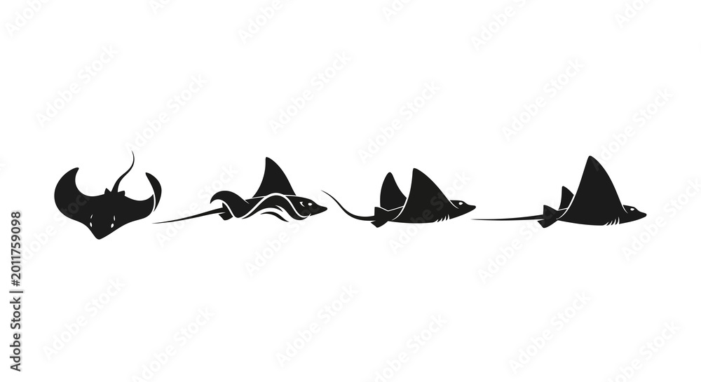 Fototapeta premium Stingray Silhouette Animation Sequence: Motion and Movement
