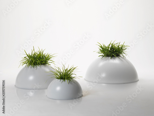 Still life of white metal vases, with plants, on a neutral background