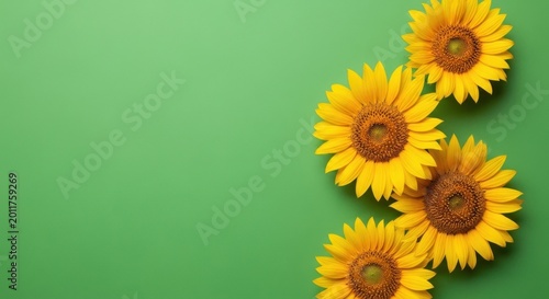 Yellow flowers on green background