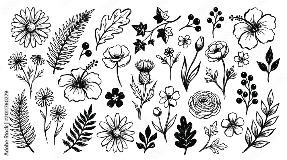 Obraz premium Botanical garden plant collection in monotone ink style, featuring wildflowers, tropical foliage, berries, oak leaves, and stems