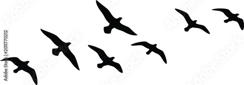 Black Birds Flying in Formation on White Background
