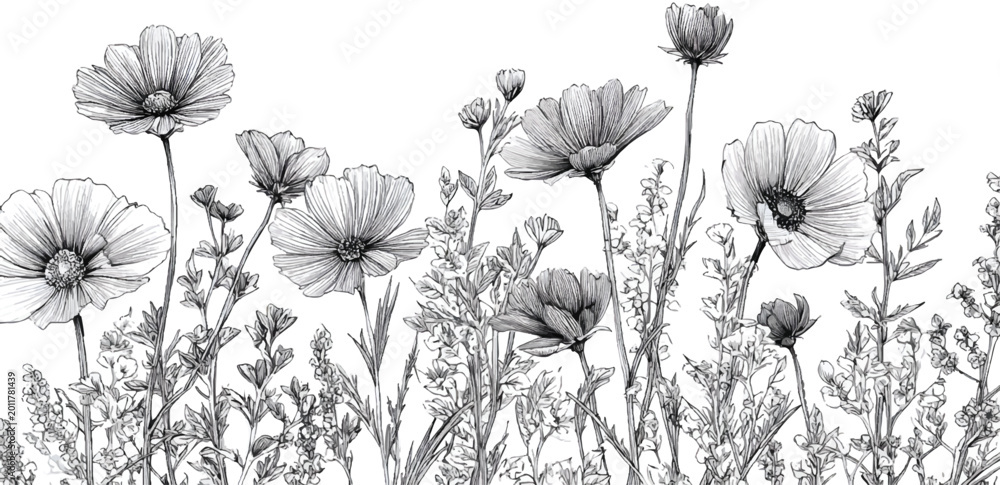 Naklejka premium line art of wildflowers, hand-drawn style, simple design, , on a transparent background.
