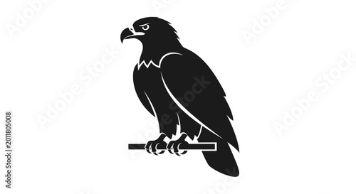 Obraz na płótnie Silhouette of a Perched Bird of Prey on a Branch
