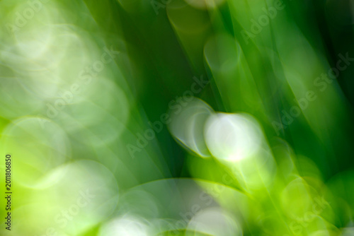 Photos The image features an abstract composition of vibrant green hues with bokeh circles