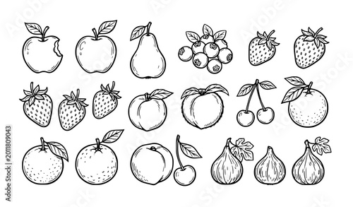 Foto Hand drawn fruit coloring book outline set with assorted fresh fruits vector ill