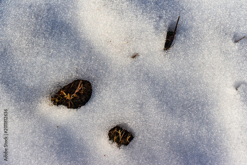 Canvastavla Patches of thawing snow reveal bits of dormant grass, hinting at spring's arrival