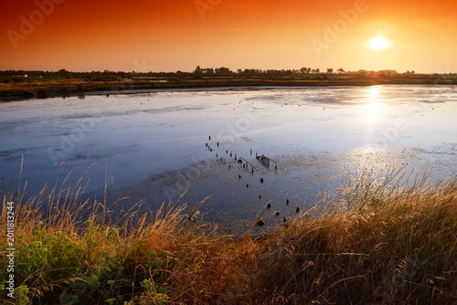 The Nature reserve of the Yves swamp in Charente-Maritime coast