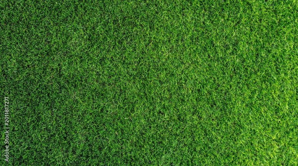 Fototapeta premium Lush green grass field texture background