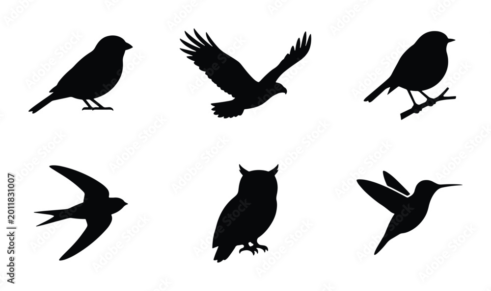 Fototapeta premium Diverse Bird Silhouettes Collection, Six Avian Species Vector Icons, Wildlife Ornithology Graphic Elements for Nature Designs