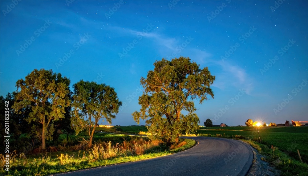 Fototapeta premium Serene Country Road at Twilight with Illuminated Trees.
