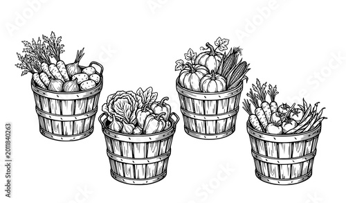 Konstfotografi Hand drawn vegetable basket line art collection with rustic farm produce vector