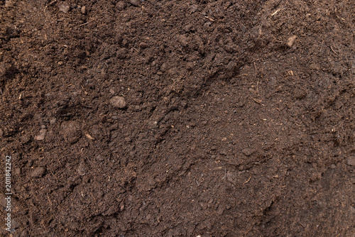 Tableau sur toile fertile soil mixed with various ingredients for growing seedlings close up, humu