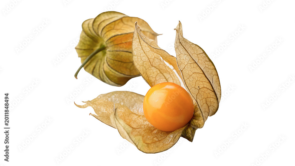 Αυτοκόλλητο Fresh physalis or cape gooseberry fruit with husk for healthy organic exotic foo