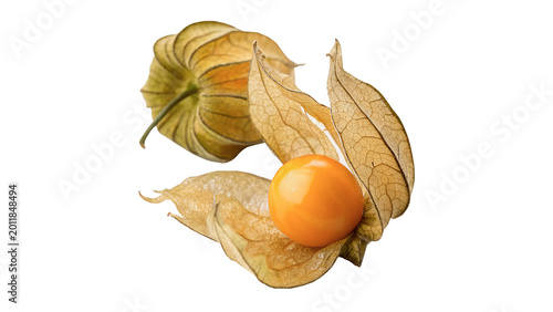 Fresh physalis or cape gooseberry fruit with husk for healthy organic exotic food and dessert isolated on transparent background