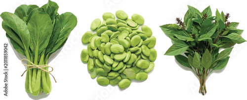 Set of fresh green vegetables including a bunch of bok choy broad beans and basil leaves isolated on white background for healthy cooking and organic food design.