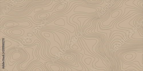 Obraz na plátne A topographical map, illustrating elevation contours in a soft beige hue