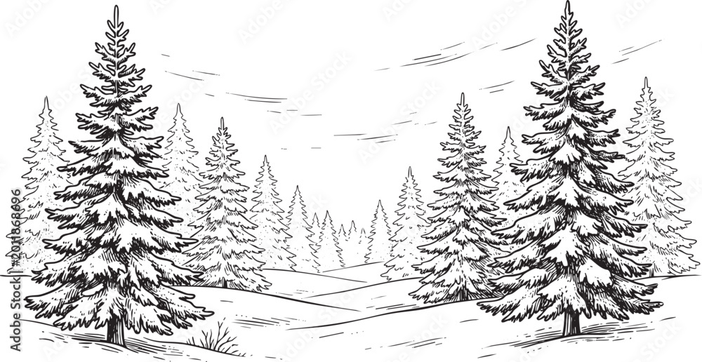 Obraz premium christmas winter forest landscape illustration, hand-drawn vector sketch of evergreen pine trees in a snowy scenery.