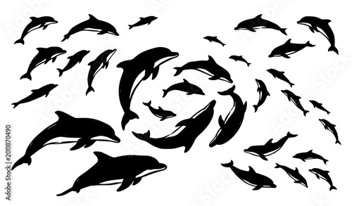 Bild auf Leinwand Dynamic hand drawn dolphin silhouettes vector collection with flowing marine ani