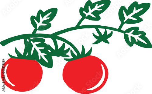 Hand Drawn Tomato with Leaves Branch Fresh Red Vegetable Vector Illustration