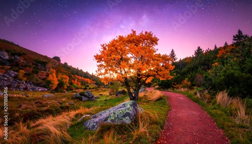 Autumn tree path at dusk with purple sky, golden leaves, stones, and grass