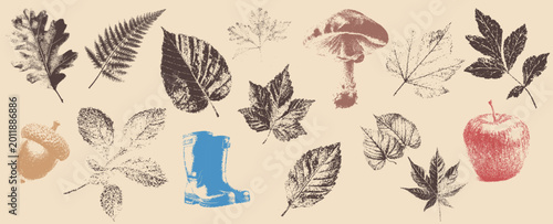 Vintage Aesthetic Autumn collage with a Grunge texture. This Minimalist Retro Graphic features Halftone leaves and seasonal elements.