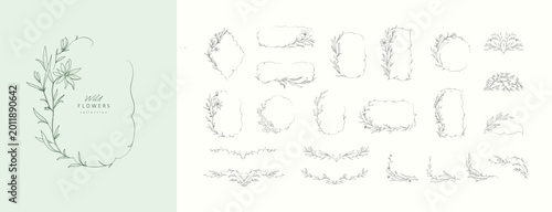Set of whimsical drawing various flowers and leaves. Luxury floral collection for wedding invitation, wallpaper art or save the date card. Botanical vector
