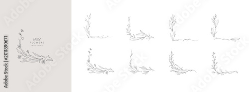 Set of whimsical drawing various flowers and leaves. Luxury floral collection for wedding invitation, wallpaper art or save the date card. Botanical vector
