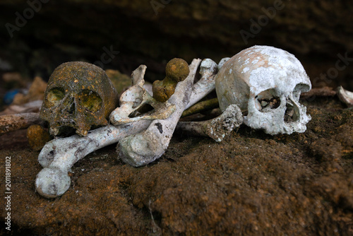 skull and bones