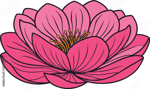 Pink Floral Blooming Botanical Vector Illustration Design