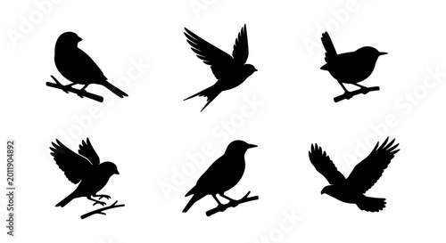Bild auf Leinwand Black bird silhouettes set, 6 flying and perched songbird icons, vector animal s
