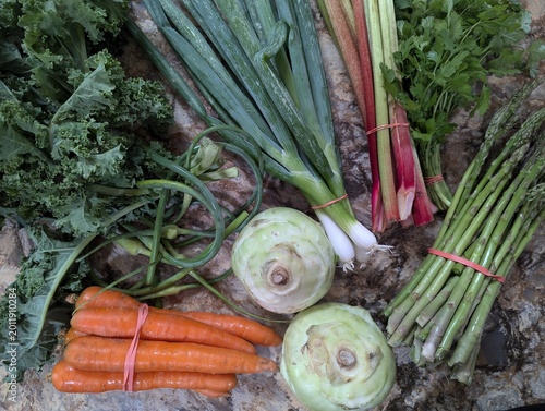A summertime CSA (Community supported agriculture) pick up of fresh and local food- rhubarb, green onion, kohlrabi, carrots, garlic scapes, herbs, kale and asparagus. Fresh, local and seasonal eating 