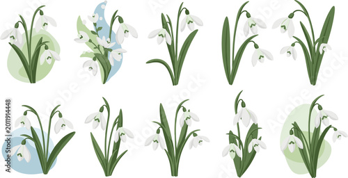 Beautiful snowdrop flower botanical vector collection featuring elegant white blossoms and green leaves for spring floral designs.