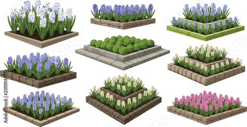 Fotografía Modern isometric garden flower bed vector set featuring blooming hyacinths in raised stone and brick tiered planting boxes