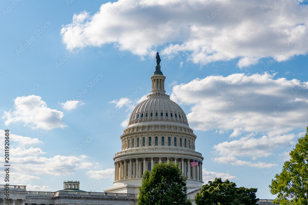 Naklejka premium Architecture view on dome with column. Famous Capitol in Washington DC. Washington DC landmark. Senate and House in Washington DC. Capitol dome. Historic Capitol by the national flag
