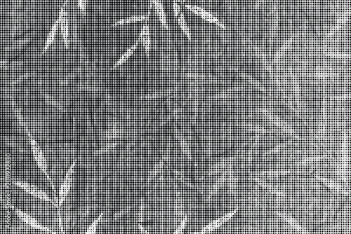 Gray leafy pattern on a surface with a transparent background effect