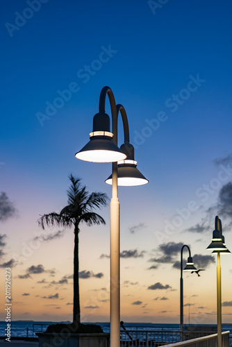 Sunset promenade with streetlamp. Summer sunrise. Street lamp lantern on sunset sky. Sunrise with palm tree. Palm and sunrise. High long palm tree in summer vacation with sunset sky
