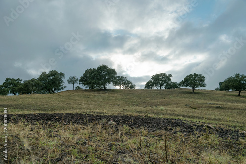 Quadro em tela Contrast between the land and the cloudy sky opening on the horizon