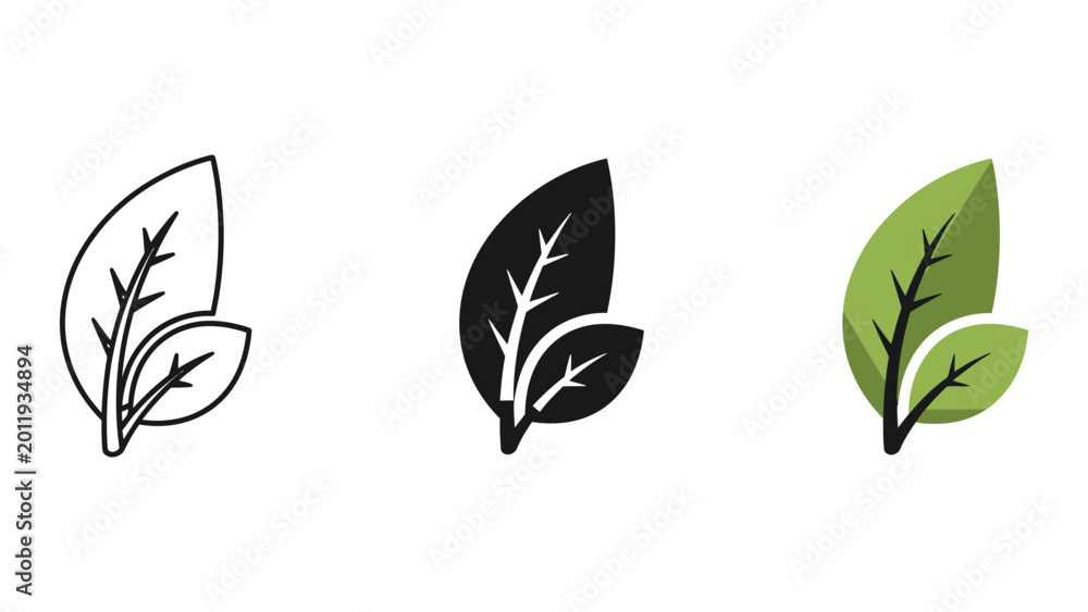 Obraz premium three stylized leaves growth stages flat design vector illustration