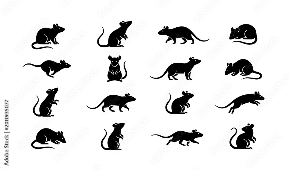 Obraz premium Minimal geometric rat silhouette vector set with modern rodent poses isolated on white background