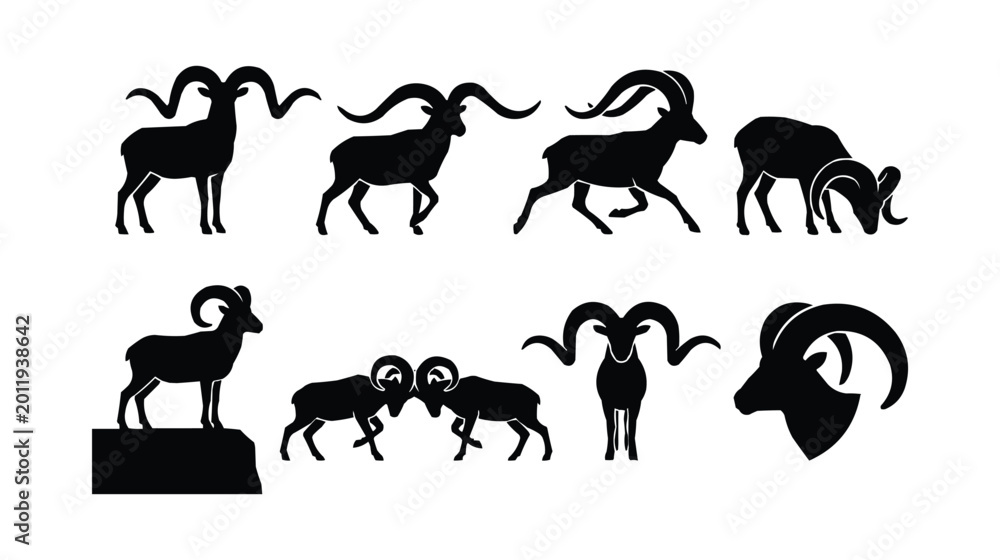 Fototapeta premium Set of Eight Black Bighorn Ram Silhouettes in Various Poses Isolated on White Background 