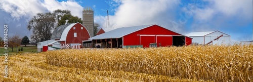 Fotografie A farm with red barns and corn field near Rochester MN,