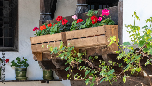 Bild auf Leinwand Wooden window boxes with red geraniums on a balcony