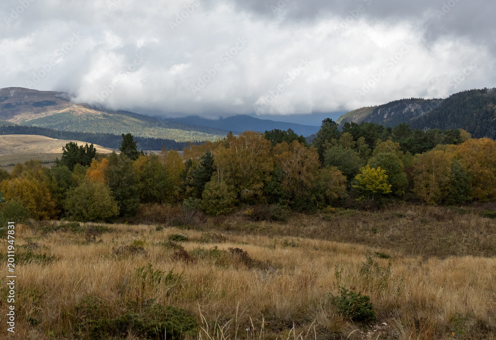 Fototapeta premium Autumn, fragments of a mountain plateau in the morning, cloudy weather, dried vegetation and nature walks