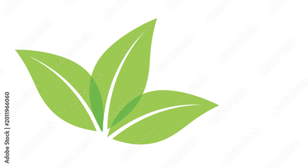 Fototapeta premium Three fresh green leaves arranged in a fan shape with a translucent effect symbolizing nature and growth in a minimalist vector design.