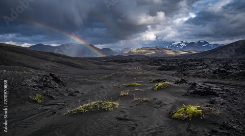 Volcanic Ash Lava Fields Pioneer Plants — Volcanic Landscape