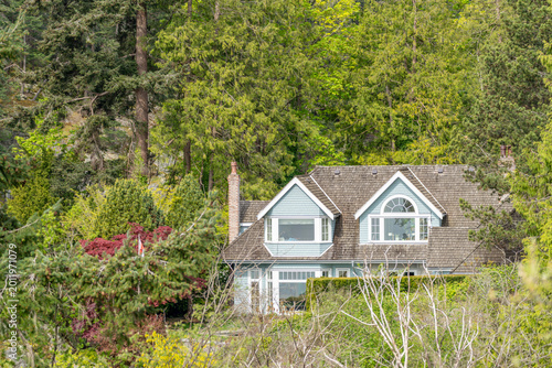 Cozy suburban house surrounded by lush evergreen forest