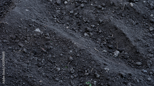 Tableau sur toile Freshly tilled fertile black soil in a garden prepared for planting in early spring