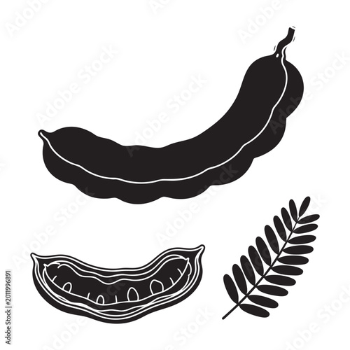 Tableau sur toile Tamarind pod open shell and pinnate leaf silhouette icon