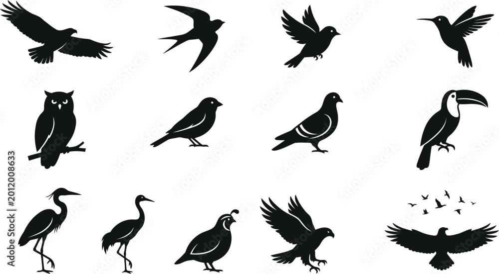 Fototapeta premium Bird Silhouette Set Vector Collection Isolated on White Background