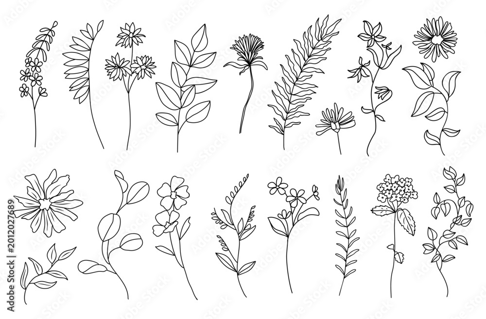 Fototapeta premium Hand-drawn botanical sketch features delicate, varied plant stems. Each design showcases unique leaf shapes and flower patterns. Elegant lines evoke a calm, natural aesthetic for design projects